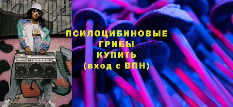 Псилоцибиновые грибы MAGIC MUSHROOMS  Лебедянь 